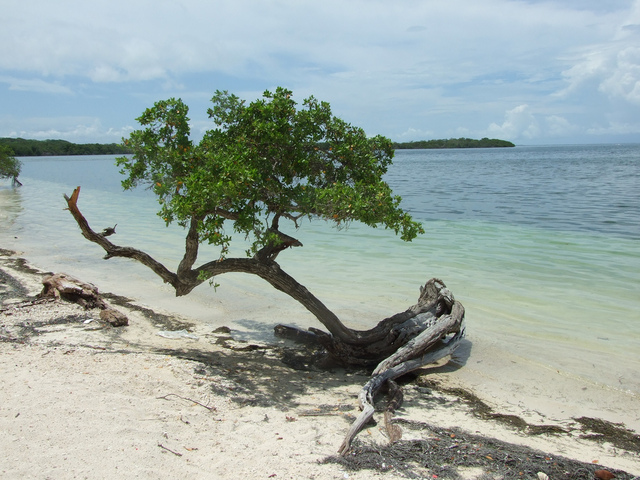 13. Parque Nacional Morrocoy – Venezuela