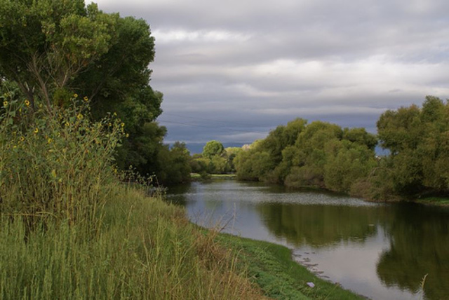 After Angel is released from the hospital, he and Sophie set to go find the stones.