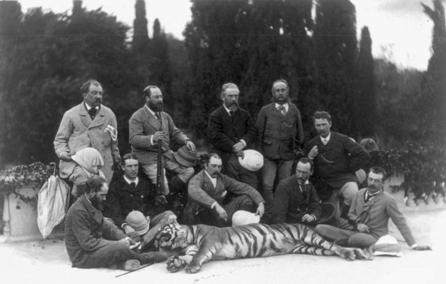 Comienzo de caza del tigre de bengala.