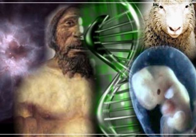 EL ORIGEN DE LA VIDA