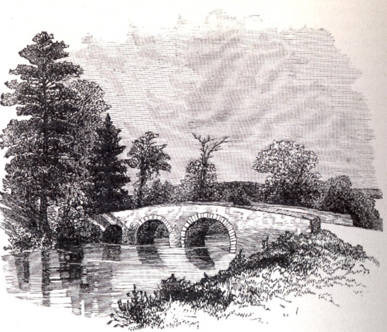 Bailey Koehlmoos- Antietam