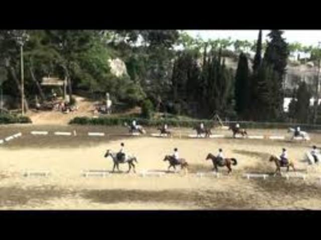 gusto por actividades