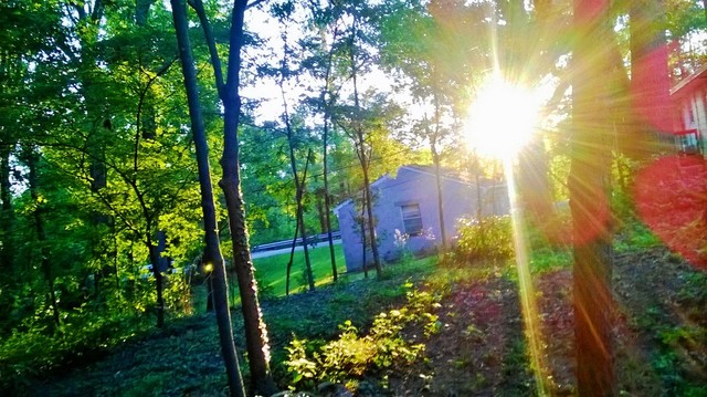 taking pictures in my  backyard