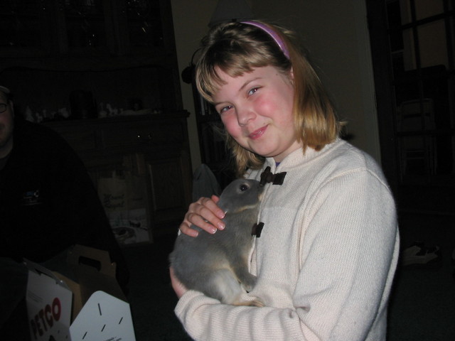 Bailey purchases Midnight