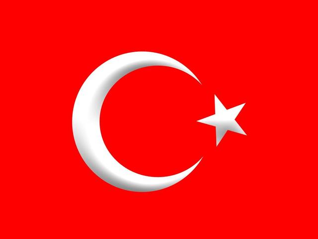 Turkey entered the war on Germany’s side