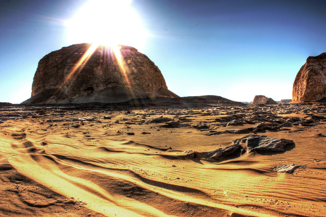 Born on Year of the Elephant