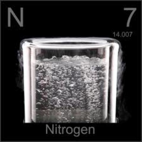 nitrgen