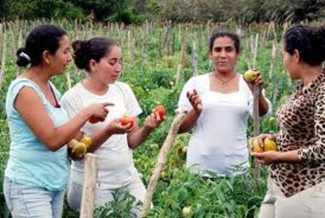 Nicaragua - Nettie Wiebe met with Nicaraguan farmwomen