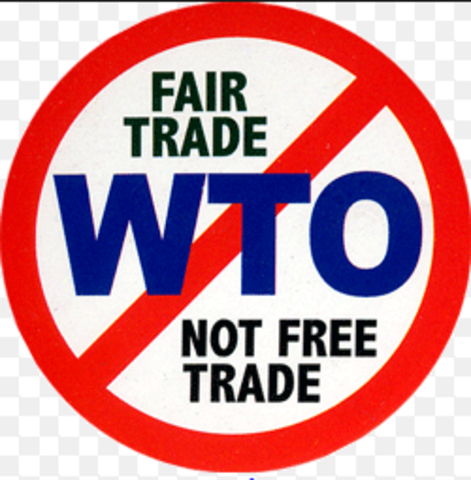 Strategies - Hong Kong, China - Mobilization against WTO