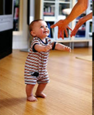 Edu - Primeiros passos