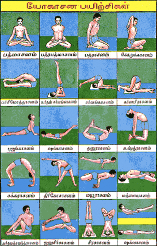 Hatha yoga