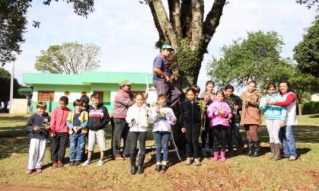 DIA DA ÁRVORE É COMEMORADO COM AÇÕES DE EDUCAÇÃO AMBIENTAL EM VERA CRUZ DO OESTE