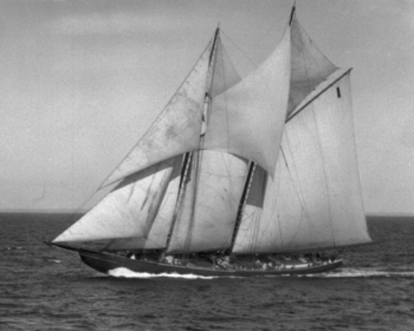 Creation of the Bluenose