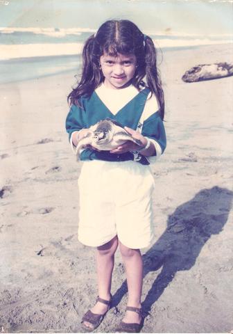 Liberación de tortugas