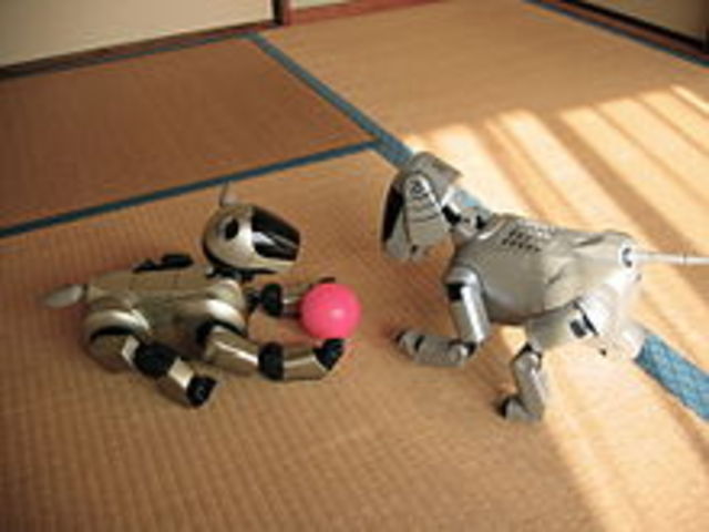 AIBO