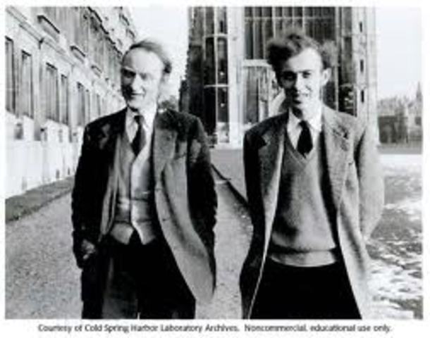 Francis Crick and James Watson