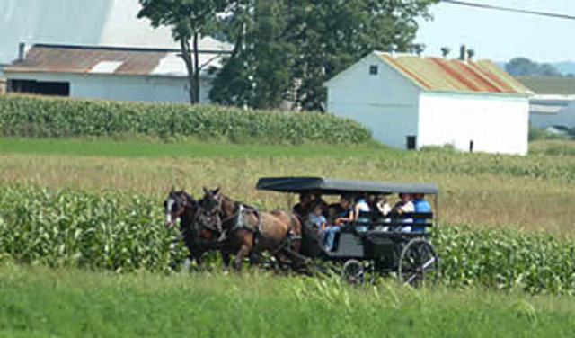 Traveled to Pennsylvania and explored Amish Country