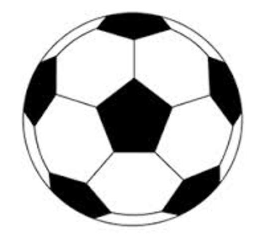 Join a Soccer Team (The School Years; Biosocial)