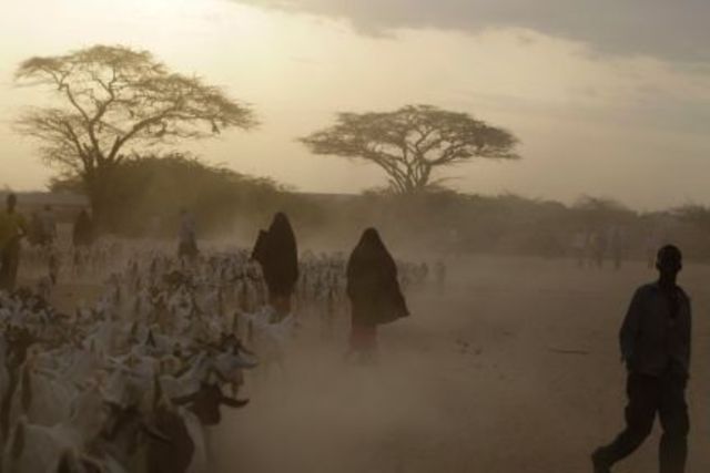 SEQUÍAS Y PLAGAS COMBINADAS CON GUERRAS EN ETIOPÍA