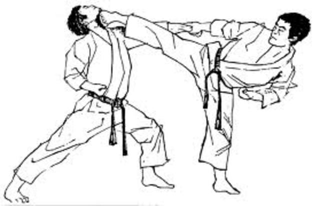 Karate / Tae kwon do