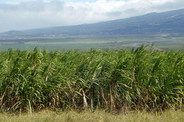 Acquisition of Hawaii