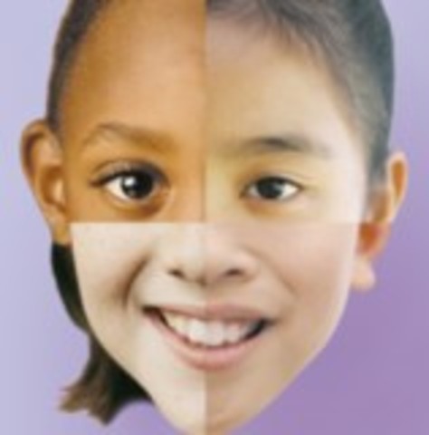 Sociale grondrechten in grondwet