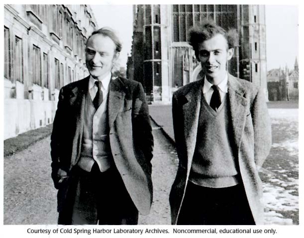 Francis Crick, James Watson