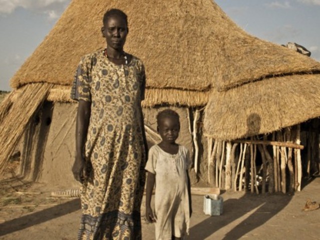 Build An Animal Shelter