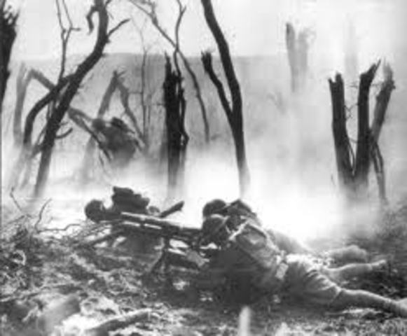 Battle of  Belleau wood