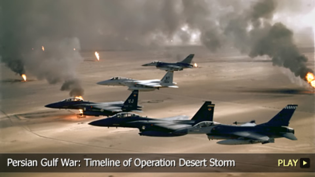 The Gulf War