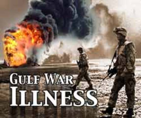 The Gulf War