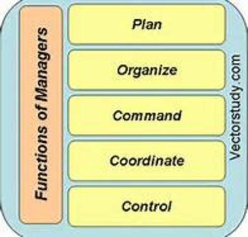 Administrative Management Theory