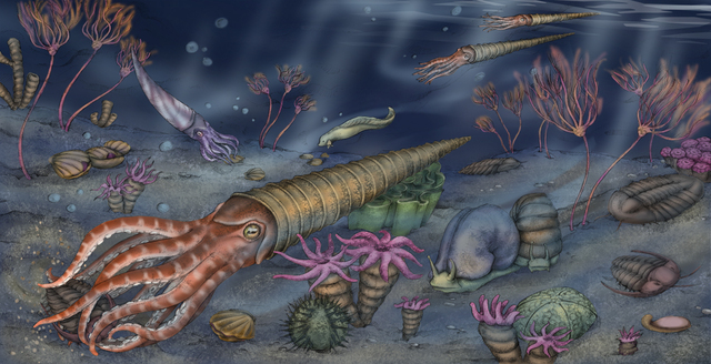 Ordovician 500M- 435 M