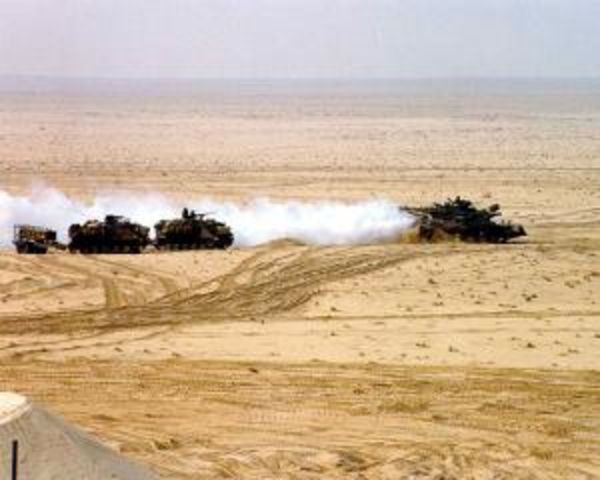 The Gulf War