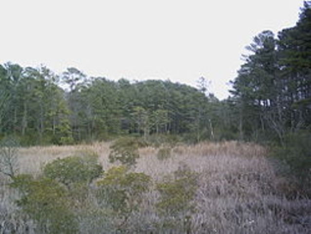 first permanent English sttlement