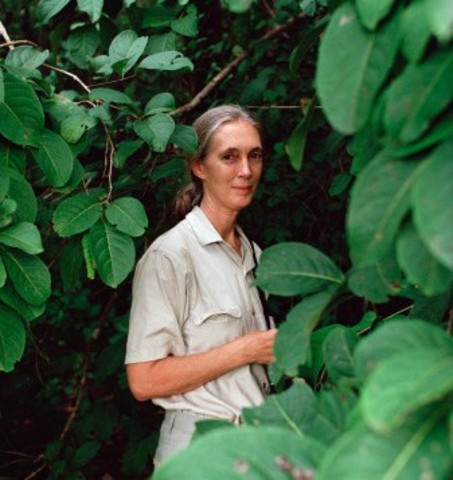 Valerie Jane Morris-Goodall