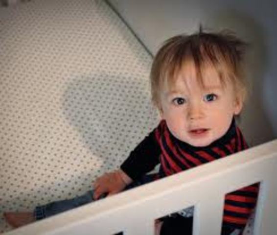 The Treaty of Paris ends the war