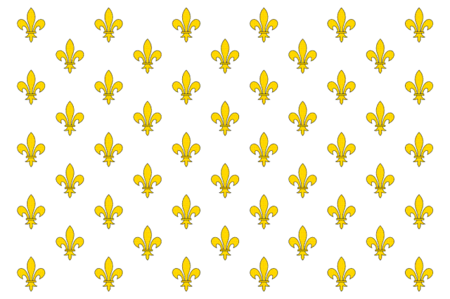 A French flag flies over Texas.