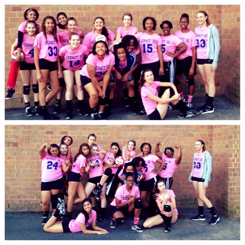 Volleyball pink out