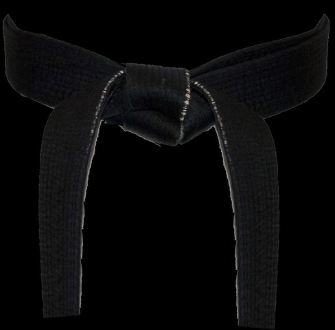 Earning Black Belt