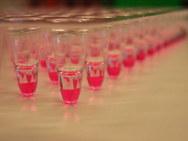 Biochemist Kary Mullis invents a technique that exploits enzymes in order to make millions of copies of a tiny scrap of DNA quickly and cheaply