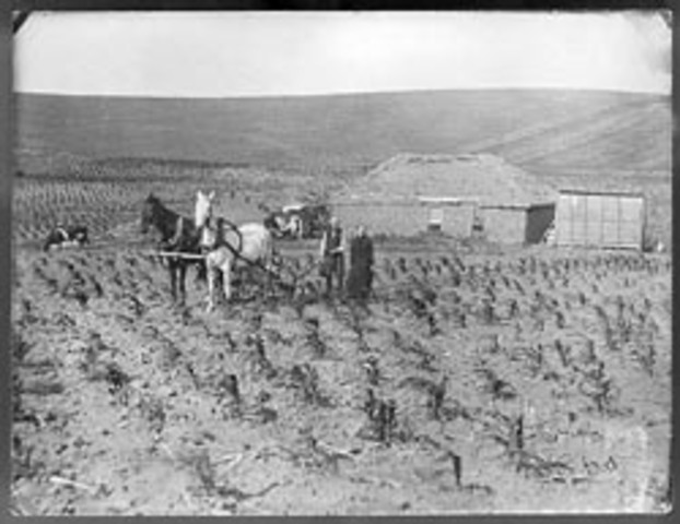 The Homestead Act