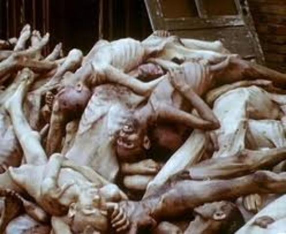 Allied leaders are convinced of mass killings in Auschwitz