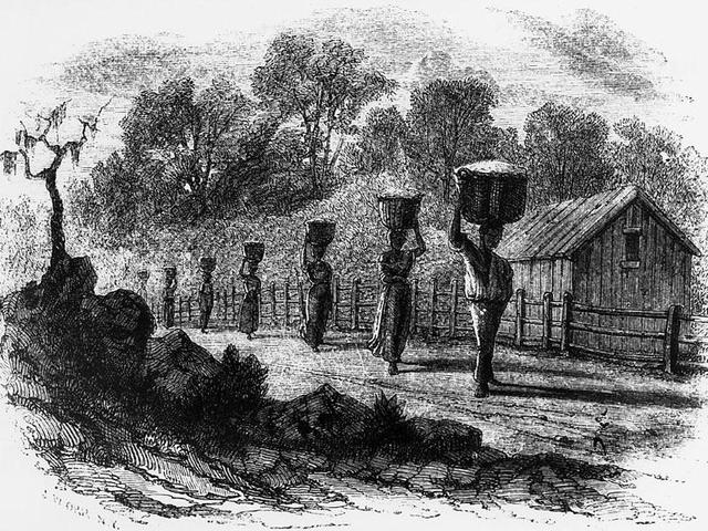 Georgian Slave Poulation