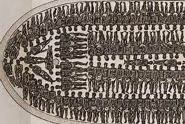 The demand for africans