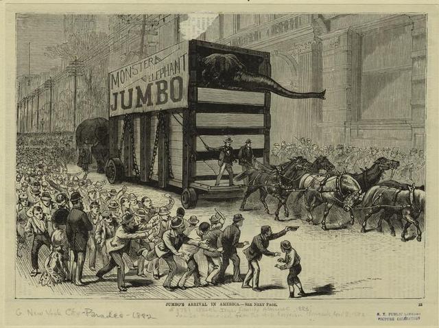 Jumbo arrives in New York