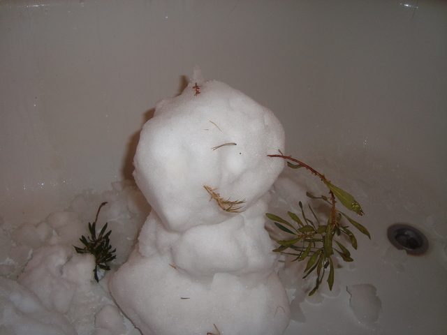 real snowman