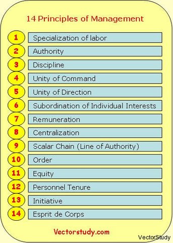 Fayol's 14 Principles