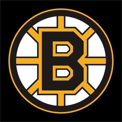 NHL Hockey Comes to America!