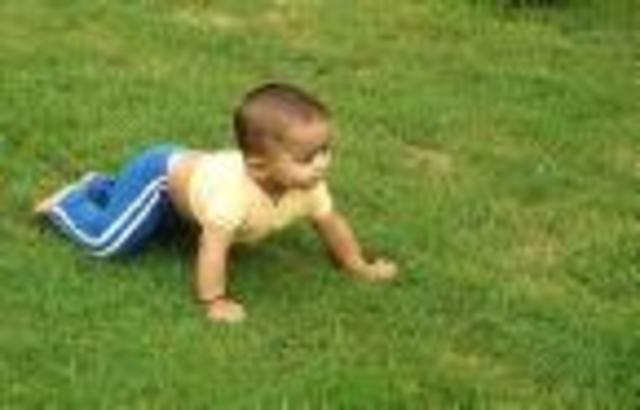 Crawling
